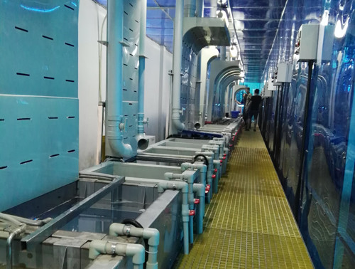 電鍍、陽極氧化行業(yè)案例5